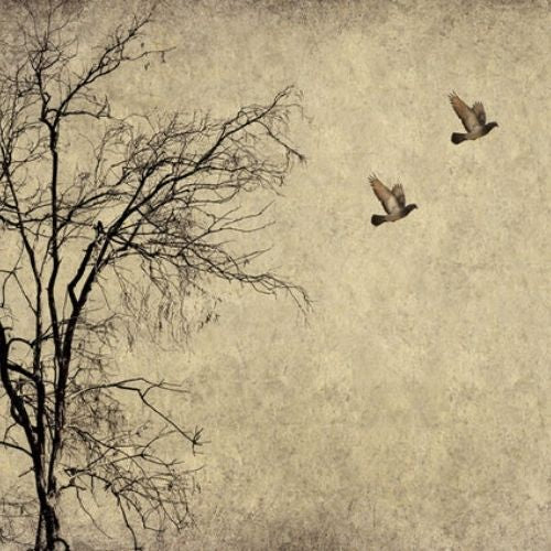 Flying Birds