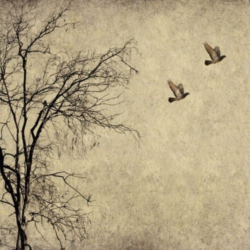Mint by Michelle Decoupage Paper - Flying Birds
