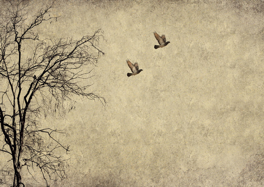 Flying Birds