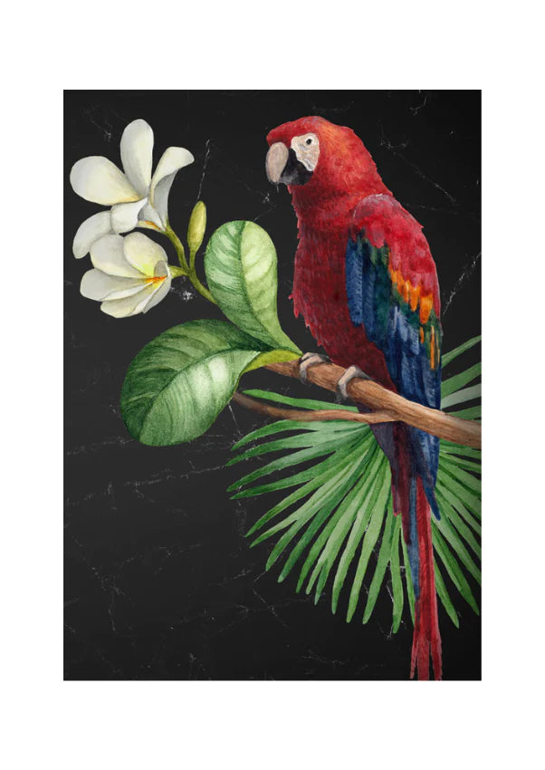 Parrot