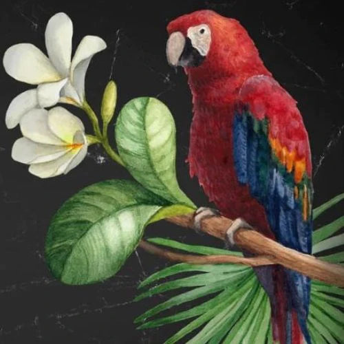 Parrot