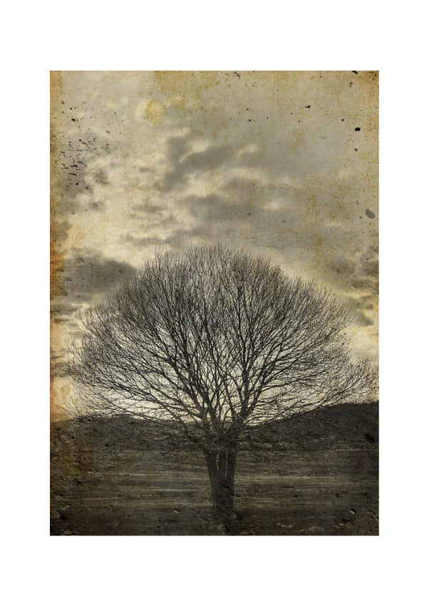 Sepia Tree