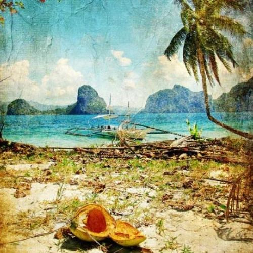 Tropical Beach - Retired