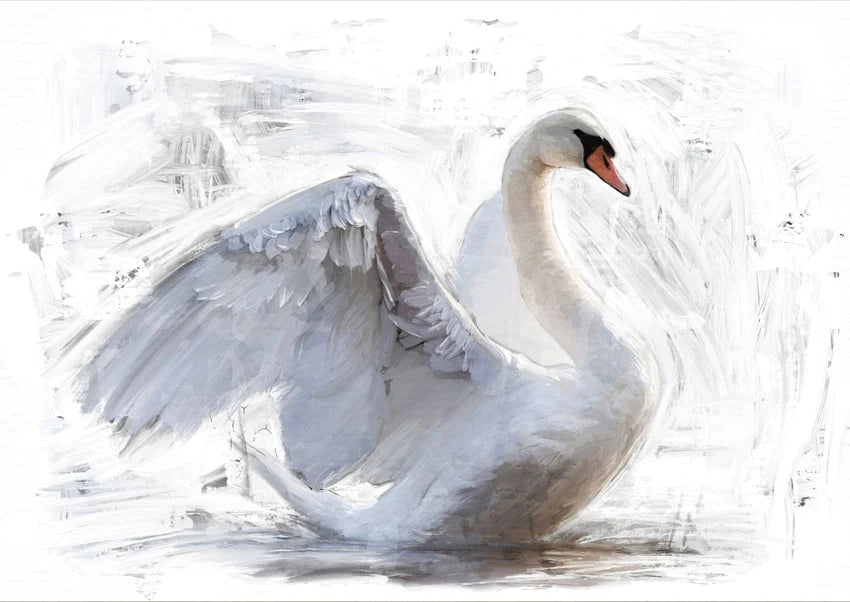 White Swan/Reverse White Swan